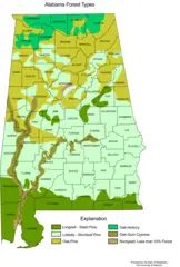 Alabama Forest Types