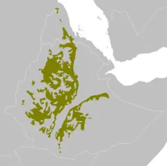At1007 Map
