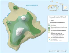 Hawaii Ecosystem Today
