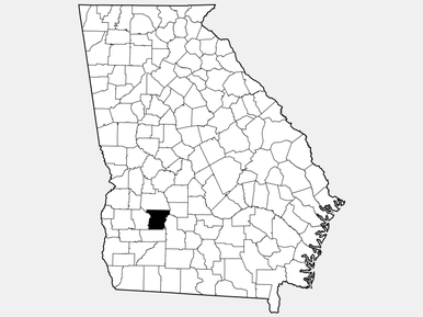 Lee County, GA - Geographic Facts & Maps 