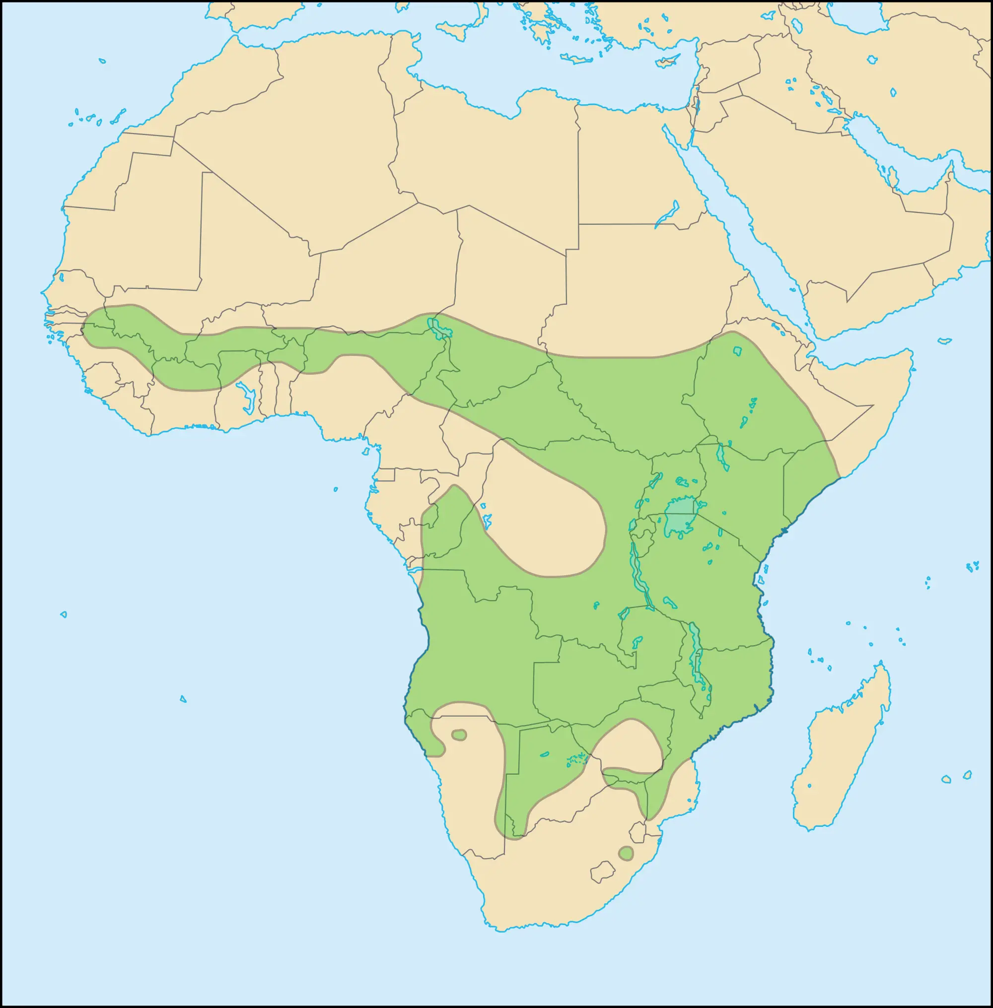 Africa Lion Distribution