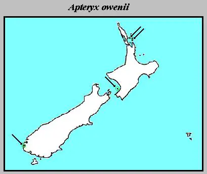 Apteryx Owenii Distribution