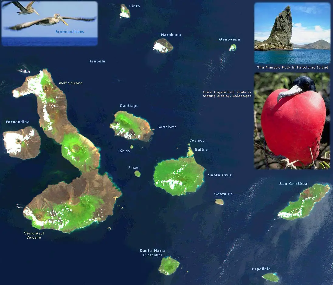 Galapagos Satellite Image