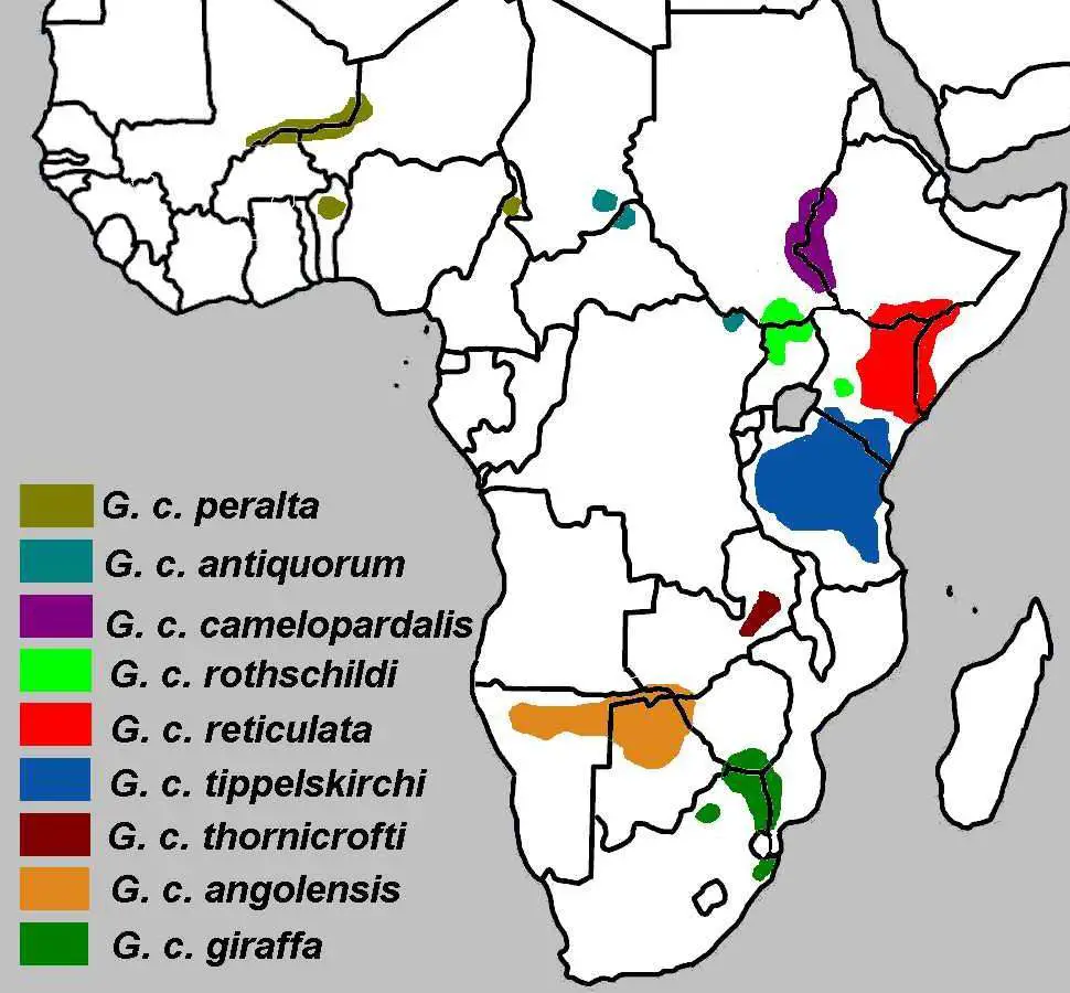 Giraffa Camelopardalis Subspecies Map