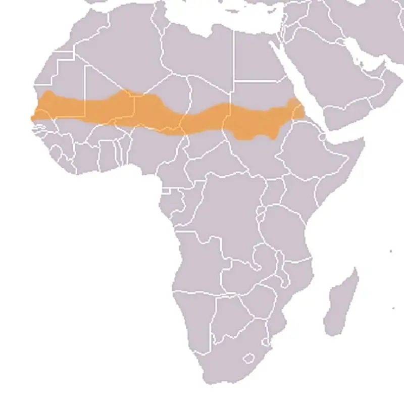 Map Sahel