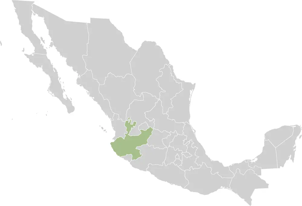 Mexico States Jalisco