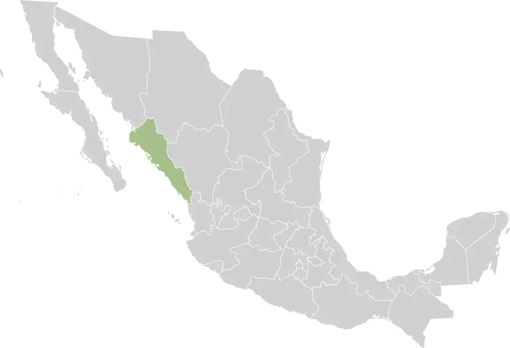 Mexico States Sinaloa