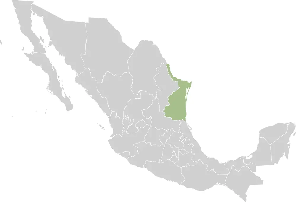 Mexico States Tamaulipas
