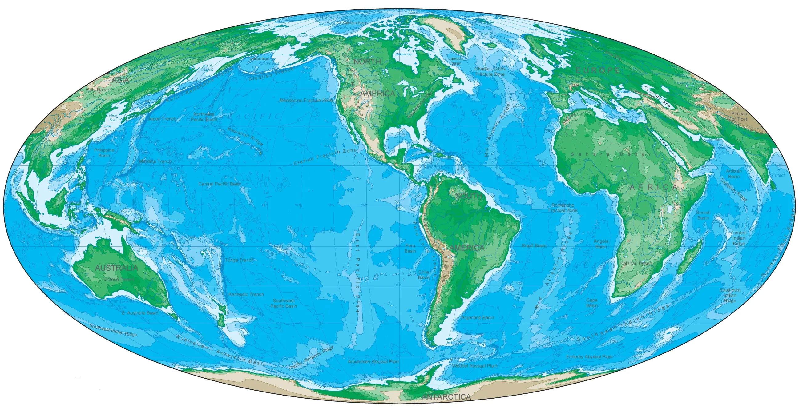 Oval Shaped America Map