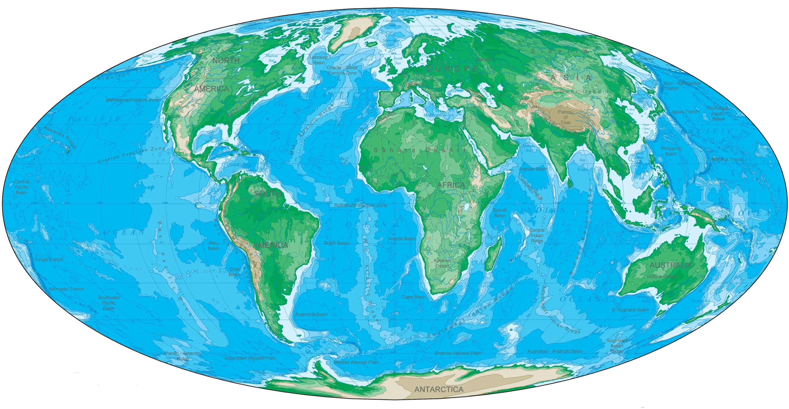 Oval Shaped World Map