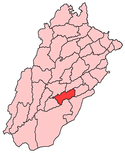 Vehari District