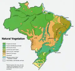 Brazil Vegetation Map 1977