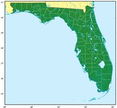 Florida Relief Map
