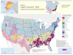 Top Us Ancestries By County