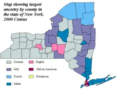 Ancestry New York By County 2000