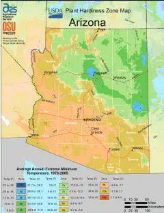 Arizona Plant Hardiness Zone Map