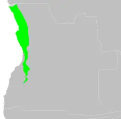 At1002 Map
