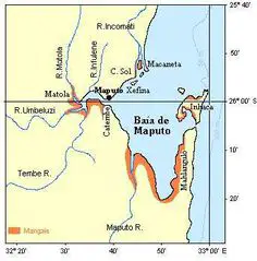 Baia Map Port