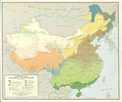 China Natural Vegetation Map