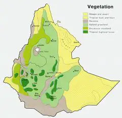Ethiopia Veg 1976