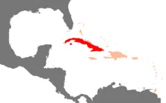 Karibik Kuba Position