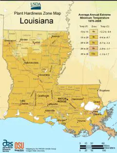 Louisiana Plant Hardiness Zone Map