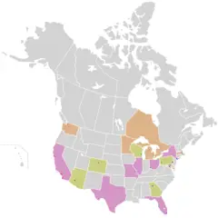 Map of Usa And Canada, Mlb