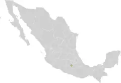 Mexico States Morelos