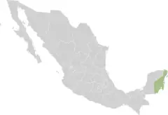 Mexico States Quintana Roo