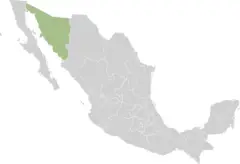 Mexico States Sonora