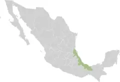 Mexico States Veracruz