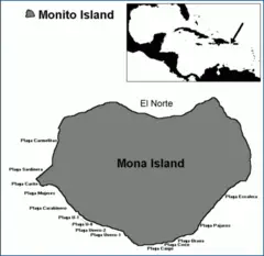 Mona Map