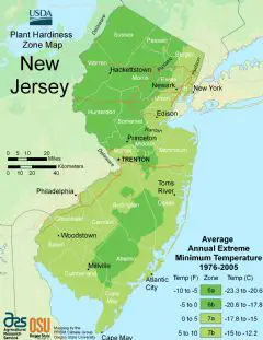 New Jersey Plant Hardiness Zone Map