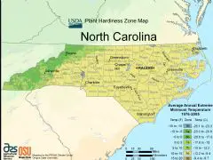North Carolina Plant Hardiness Zone Map