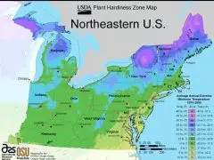 North East Us Plant Hardiness Zone Map