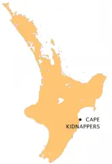 Nz C Kidnappers