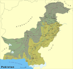 Pakistan L