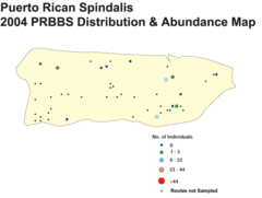 Pr Spindalis Distribution