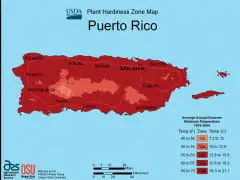 Puerto Rico Plant Hardiness Zone Map