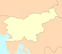 Slovenia Map Blank