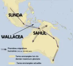 Sunda Sahul Wallacea Migration