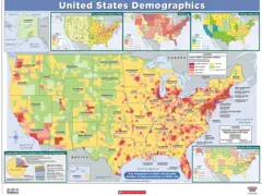 Us Demographics Map 2010
