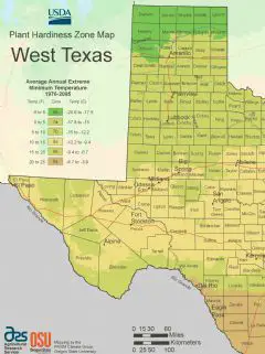 West Texas Plant Hardiness Zone Map